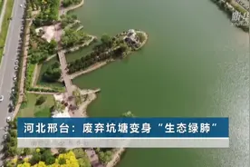 河北邢台：废弃坑塘变身“生态绿肺”视频封面