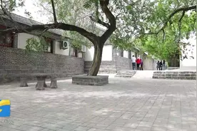 三尺巷、槐抱榆……潍坊昌乐这个“百余户”的小村子获评“全省首批景区化村庄”图片