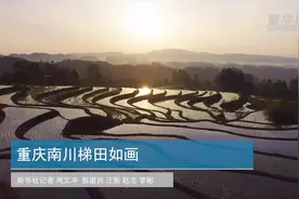 重庆南川：春播时节梯田如画图片