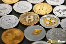 狗狗币、shib等暴涨频上热搜，虚拟货币却被网络诈骗盯上图片