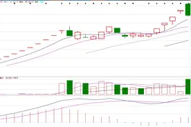 数字货币概念牛股成群 这些公司提示风险！丨一大板块视频封面