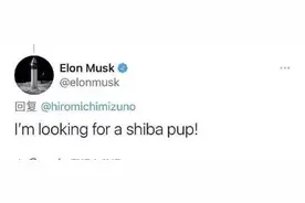 柴犬币上线大涨刷屏币圈！炒币者坦言：知道在“炒空气”，难敌一夜暴富诱惑图片