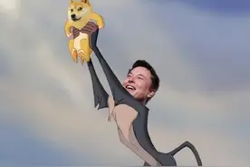 币圈变成动物园：狗狗币、柴犬币暴涨，造富神话还是庞氏骗局？图片