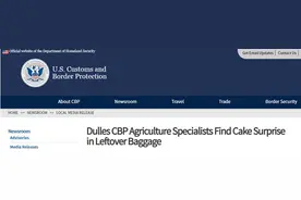 美国机场惊讶发现“牛粪蛋糕”图片