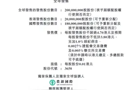 新希望服务：神秘女子上市前突击入股 母公司遭遇资本滑铁卢图片