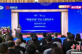 “投资辽宁”平台上线 为外资外贸企业提供一站式专业综合服务图片