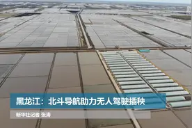 黑龙江：北斗导航助力无人驾驶插秧视频封面