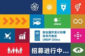 招募 | 联合国志愿者——项目主管 （UN Volunteers—Project Manager）图片