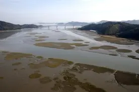 韩国滩涂申遗成功 曾因面积不够大被联合国退回图片