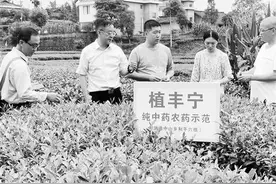 生物农药护佑绿色崛起——兰州交通大学生物农药助力绿色生态农业发展图片