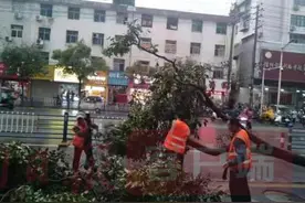 当狂风暴雨冰雹突袭信阳，他们全都这么做图片