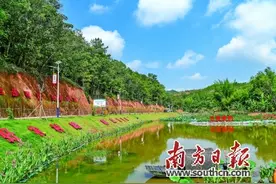过去一年，乡村振兴的梅州答卷图片