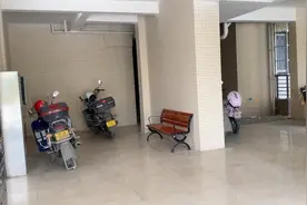 成都物业协会发紧急通知：楼梯间等禁停电动车视频封面