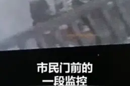 杭州市民门前监控曝光：外逃金钱豹曾与狗狗纠缠，随后跳墙离去图片