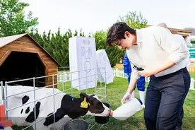 邓伦走进君乐宝牧场及酸奶生产基地图片