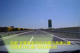 畅行高速|宝马撞野鸡，为女司机的沉着冷静点赞视频封面