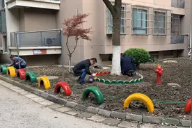 物业保姆式服务推进“动迁小区”环境换新颜图片