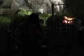 写点生活｜京都樱花祭图片