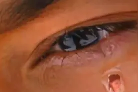 06版《神雕》黄晓明眼泪里有刘亦菲 当年的她简直太美了图片