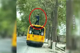 银川一男子站在校车顶上摇摇欲坠，竟是为了采摘槐花图片