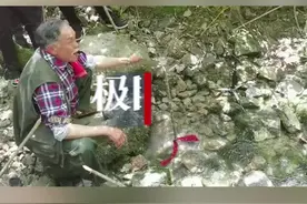 巴东深山版“趵突泉”，溪流里出现敲石涌泉奇观图片