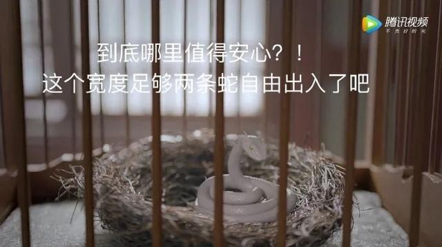 烂出新高度?