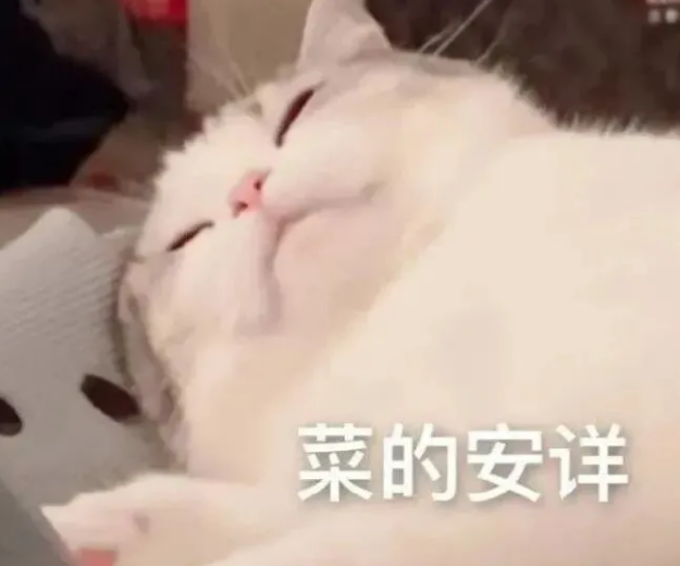 烂出新高度?