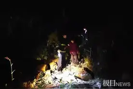 无人机+警犬+100人搜山41小时，十堰迷路老太太终获救图片
