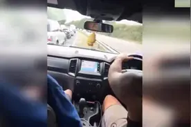 英国一司机在高速路中央隔离带行驶超车 分享视频炫耀图片