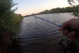 3米长鳄鱼从湖里冒出追逐渔夫 场面堪比恐怖电影图片