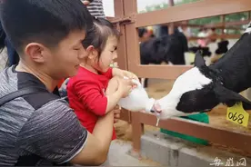 奋进新征程 再创新辉煌｜淮南：拓展产业类型 发展势头强劲图片