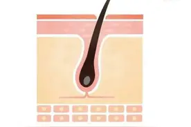 头发太长，会和身体抢营养？真相是这样的图片