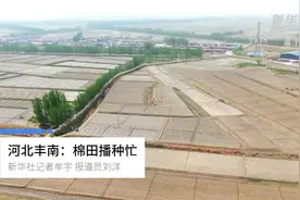 河北丰南：棉田播种忙视频封面