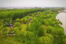 诗画德州丨定格初夏好风光！记者“漫”游减河湿地公园 体验家门口的“诗和远方”图片