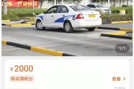 上海某驾校“火速上线”特斯拉陪练课：10小时2000元图片