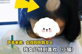 7岁女孩养猫感染头癣变秃头 妈妈说：担心她上学有压力图片
