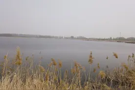 “生命之海”——记山东省邹城市太平国家湿地公园图片