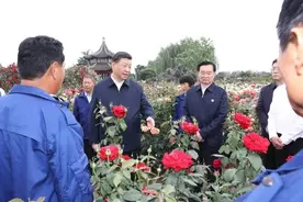 一见·看南阳的一花一“草”，因为重视这件大事图片