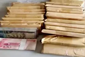 上海小学生遛狗捡到51万巨款 妈妈不信以为是冥币……姐弟俩的选择亮了图片