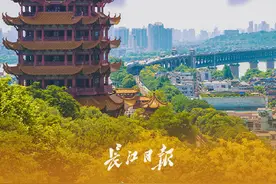 武汉义务教育入学招生政策发布！事关幼升小、小升初图片