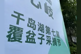 这种红彤彤的鲜果你爱吃吗？千岛湖第七届覆盆子采摘节来啦图片