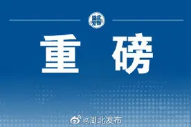 武汉市中小学招生新政出炉义务教育阶段公办学校划片对口 免试就近图片