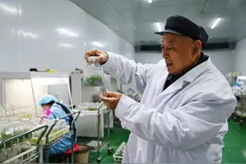 风采 | 河南两位知名乡镇党委书记的履职感悟：黄土地上书写无悔人生图片