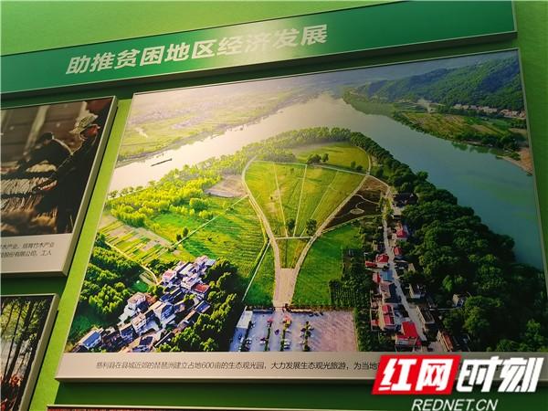 观看小康工程成就展简报