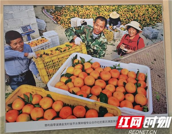 观看小康工程成就展简报