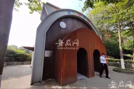 “猪坚强”已至暮年仍被关注 学者：象征一种决心图片