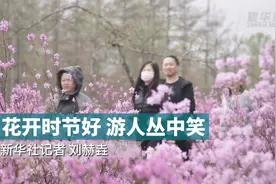 花开时节好 游人丛中笑图片