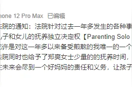 美国法律职业博士：法官权衡法律里列出的因素后，判决张恒在孩子全部问题上有完全决策权图片