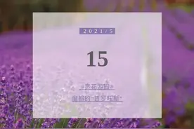 第五届薰衣草节游玩路线来了！这个周末与你邂逅图片