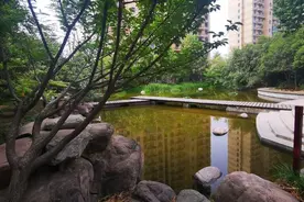 郑州严惩浪费水行为，这种行为最高可罚5万元图片